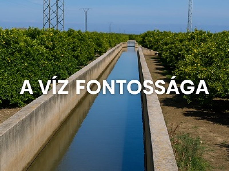 A víz fontosságát szeretném leírni.